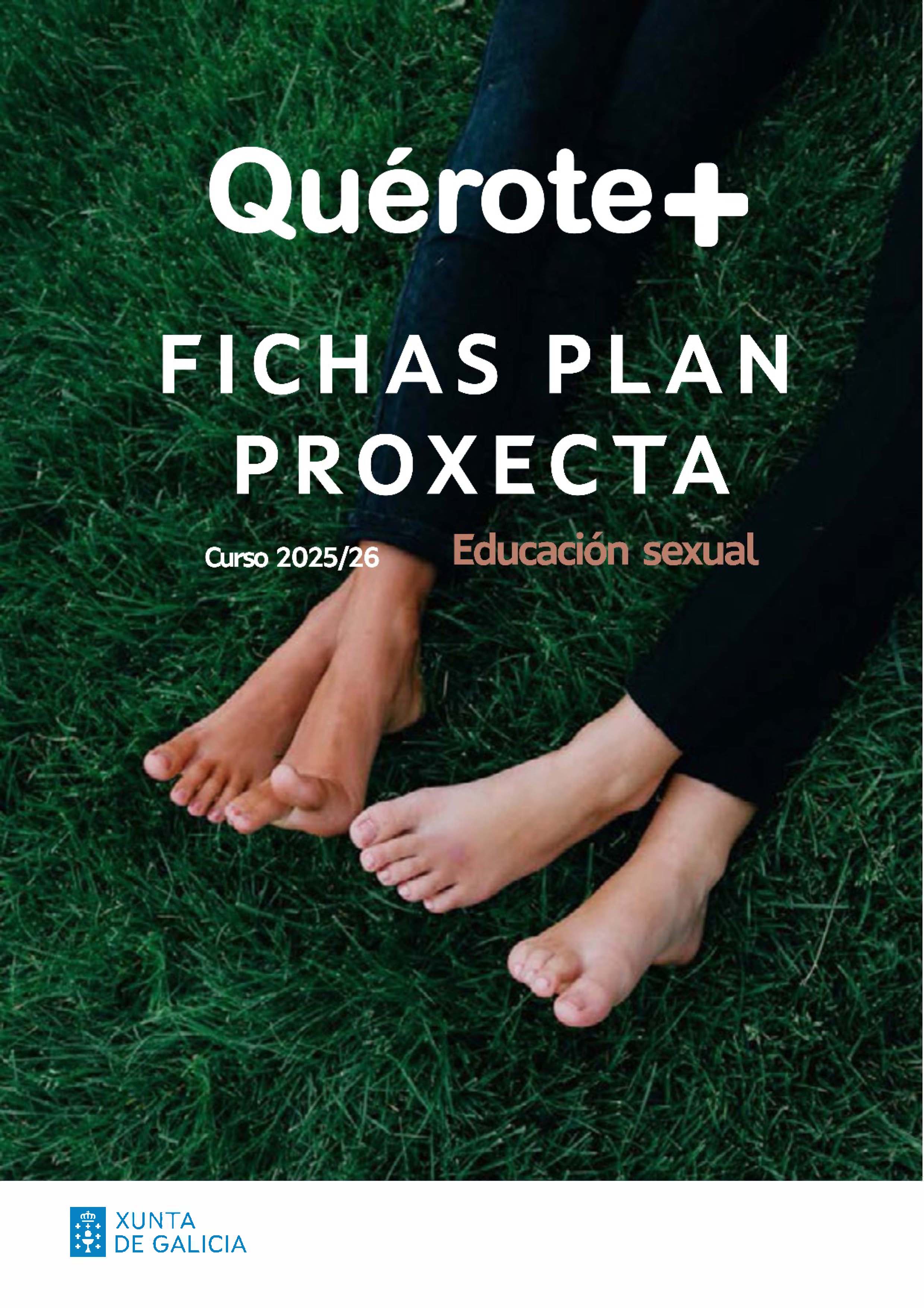 fichas plan proxecta