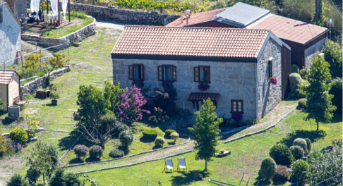 photo acantaruxamaruxa